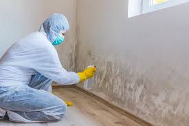 Professional Mold Inspection in Bell Gardens, CA